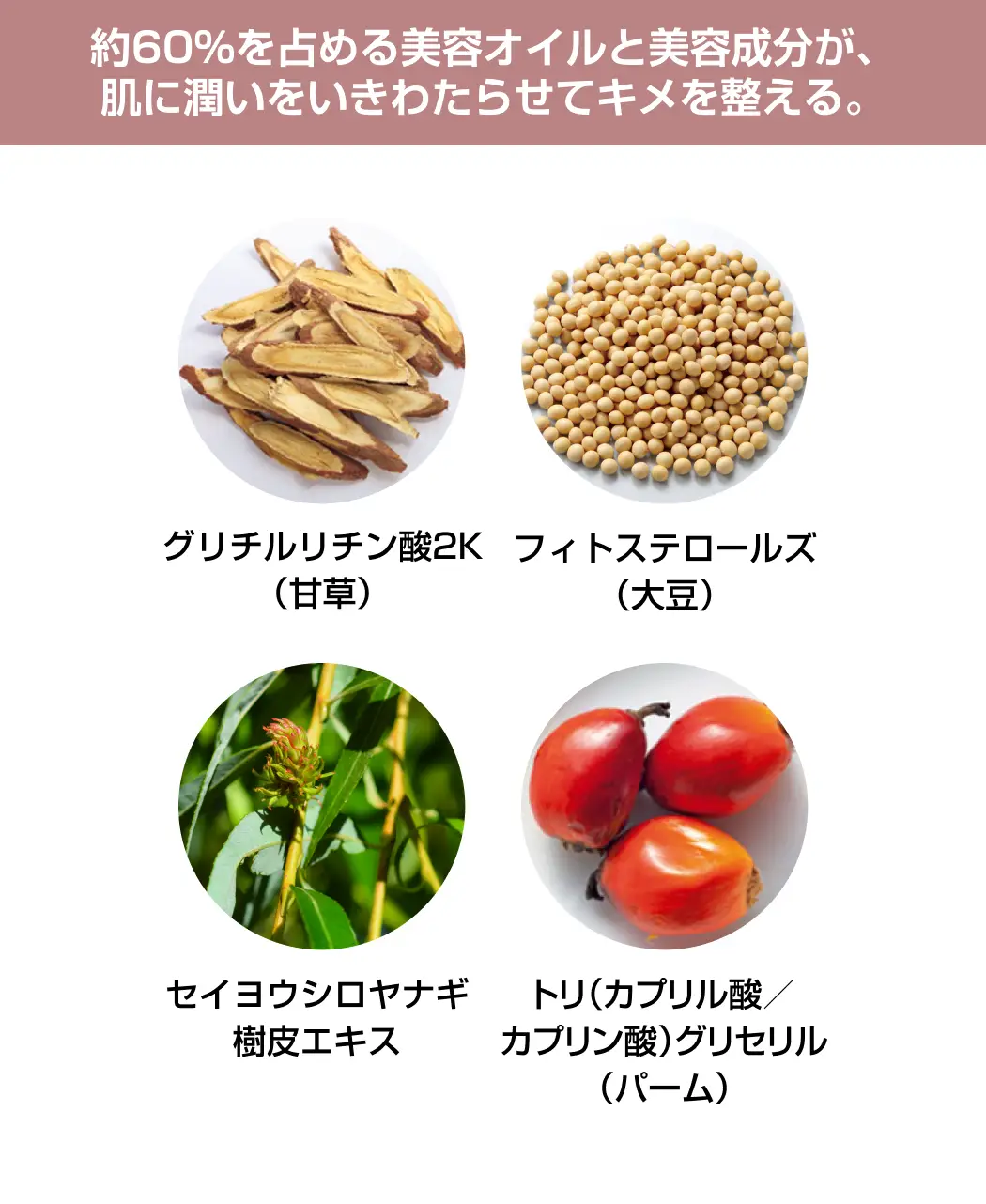 通販生活®湯あがりセラミドミルク『肌つつみ』｜【公式】カタログ