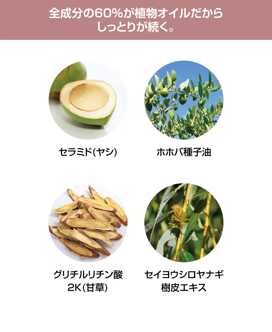 通販生活®湯あがりセラミドミルク『肌つつみ』｜【公式】カタログ