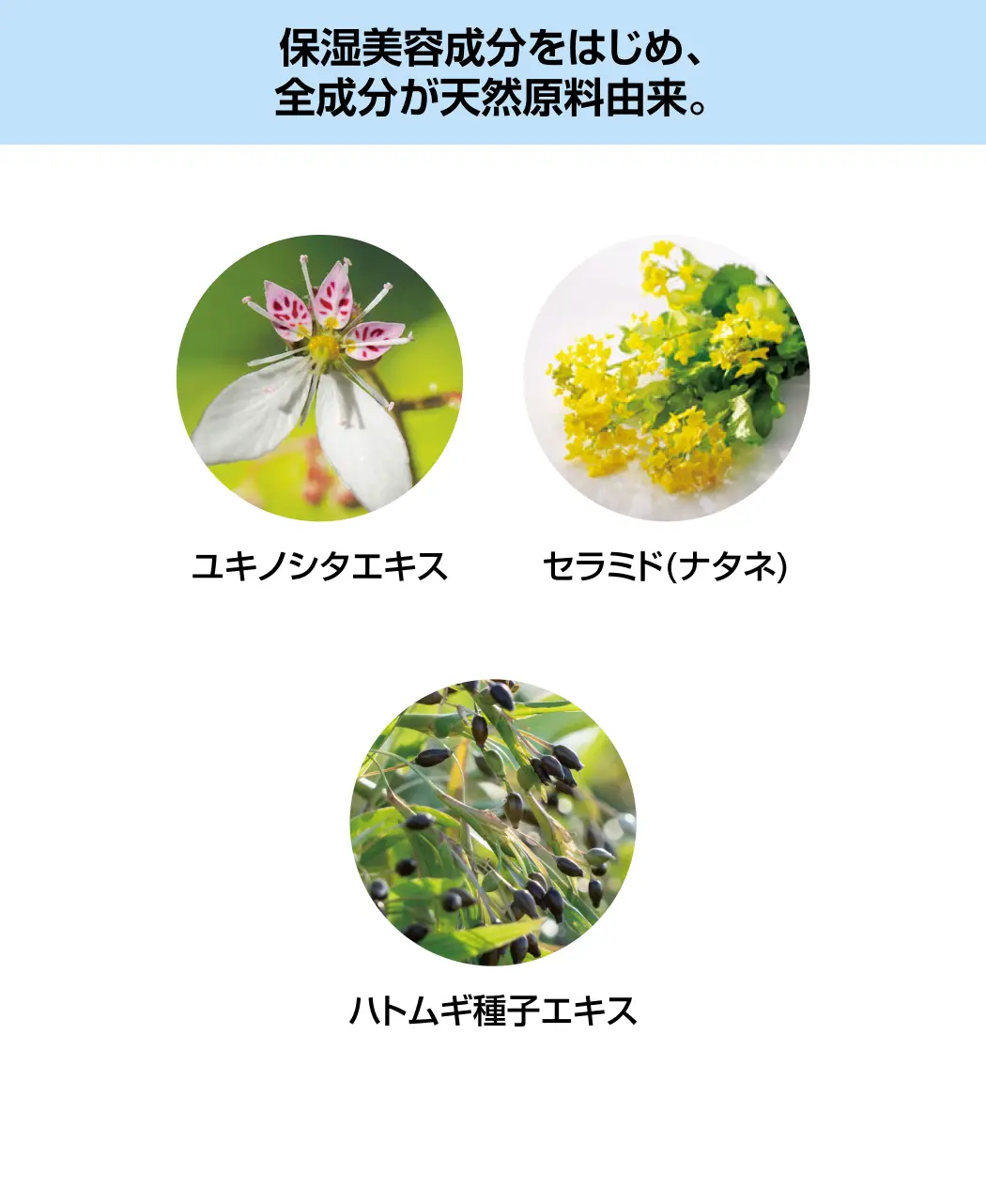 通販生活®UVプロテクトミルク『日蔭®-ひかげ-』 ｜【公式】カタログ