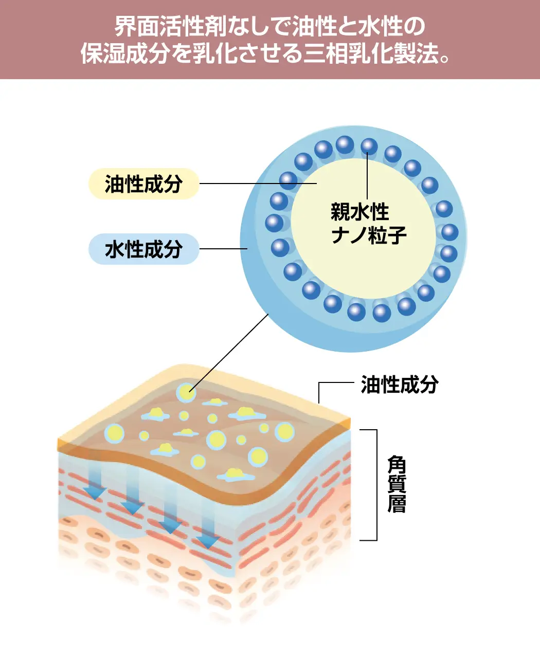 ちりめんシルク肌磨きパフ4