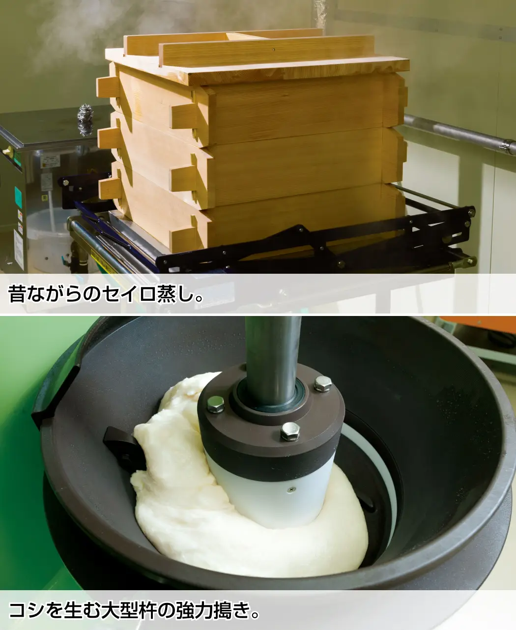 通販生活®伊藤俊彦の餅｜【公式】カタログハウスの通販サイト