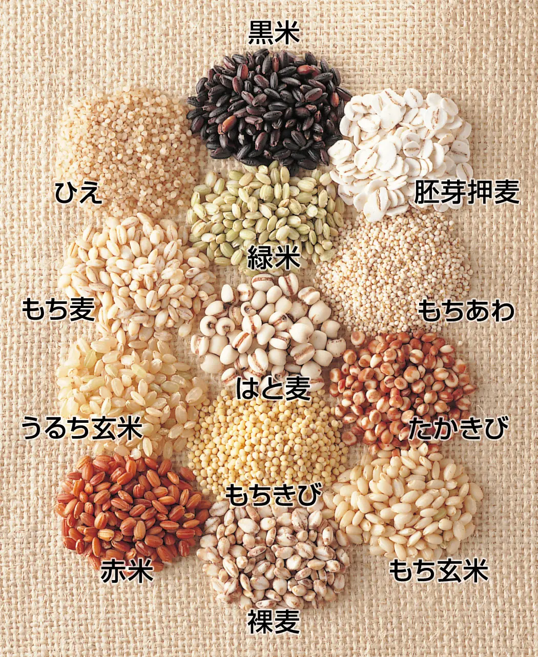 通販生活®福っくら御膳｜【公式】カタログハウスの通販サイト