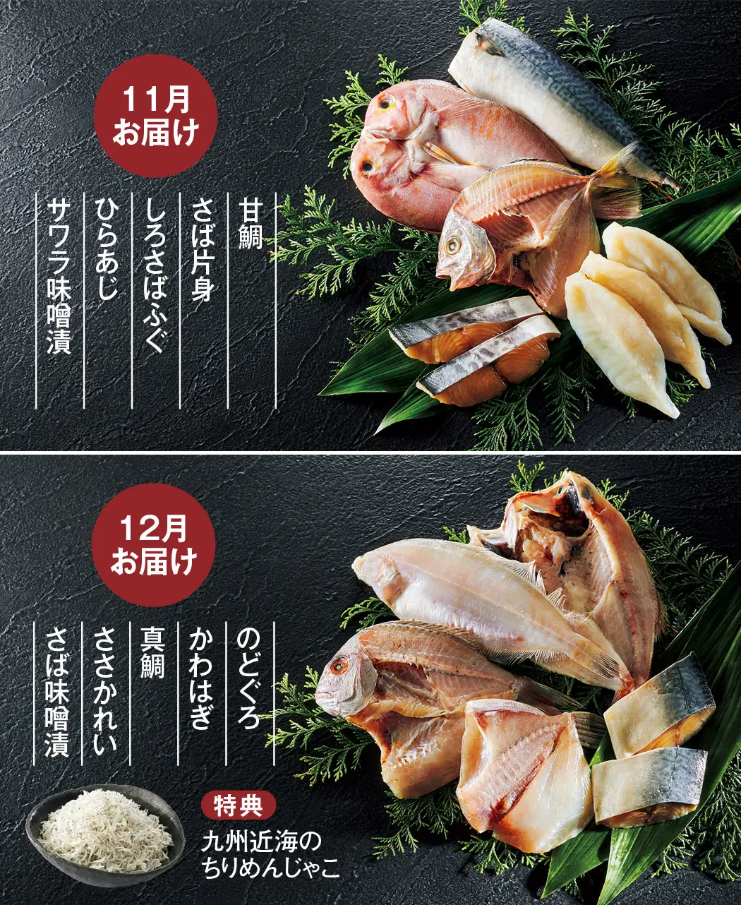 8時だよ 通販生活 玄界灘と九州近海の 天然魚の一夜干しと漬け魚 6ヵ月頒布会 公式 カタログハウスの通販サイト