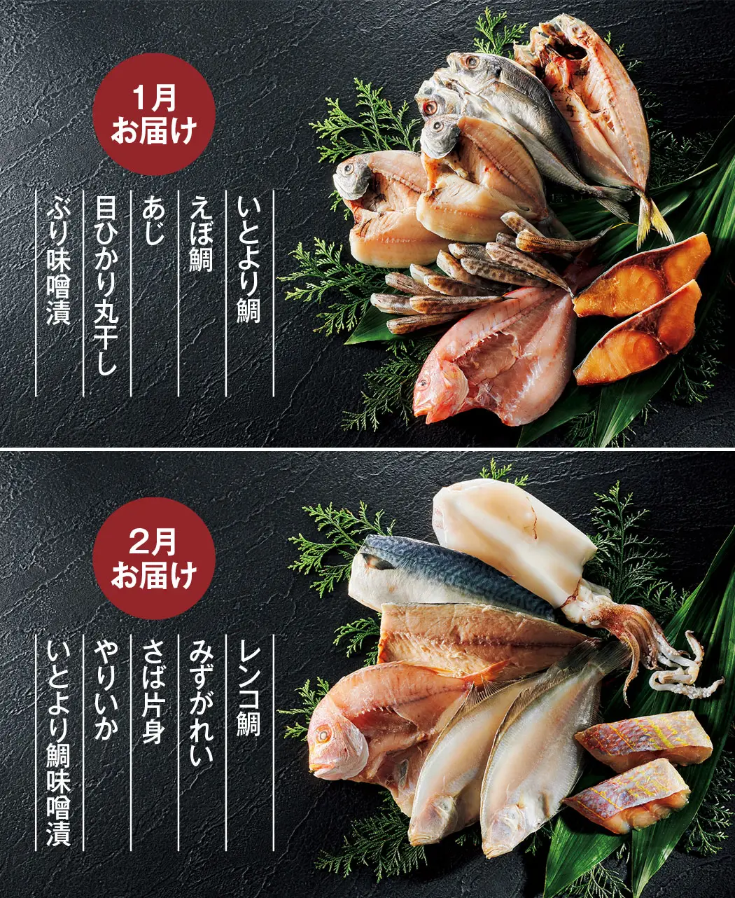 8時だよ 通販生活 玄界灘と九州近海の 天然魚の一夜干しと漬け魚 6ヵ月頒布会 公式 カタログハウスの通販サイト