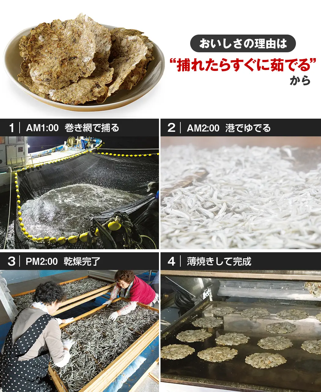 通販生活®薄焼いわし｜【公式】カタログハウスの通販サイト