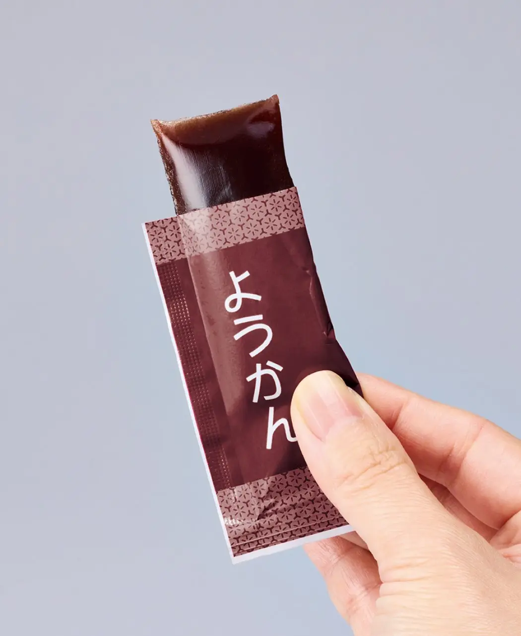 15グラム塩ようかん0