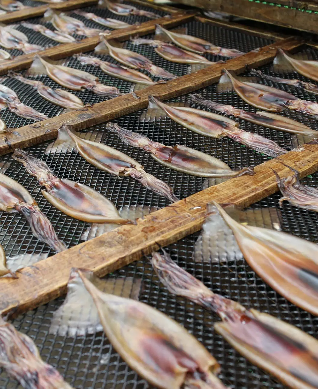 丸干しいか2種セット3