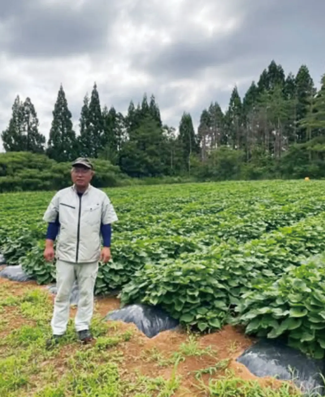 のと焼き菓子5種セット2