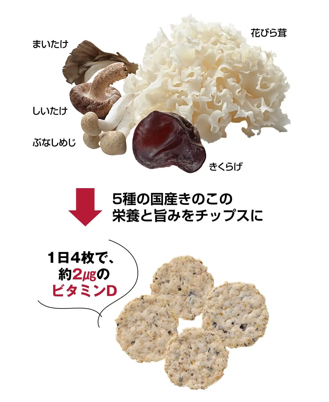 花びら茸チップス2