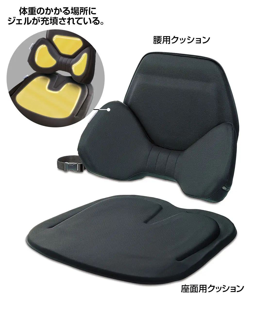 8時だよ 通販生活 ハグドライブ腰用クッション お尻用パッド 公式 カタログハウスの通販サイト