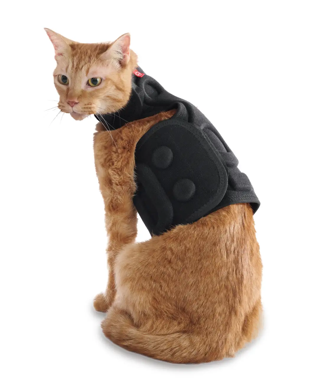 爪切りNYAN CARE CHOKK 猫用ハーネス　にゃんケアチョッキ　マクアケ ネコの爪切りに本気で向き合いました。着るだけで「ピタリ」止まる