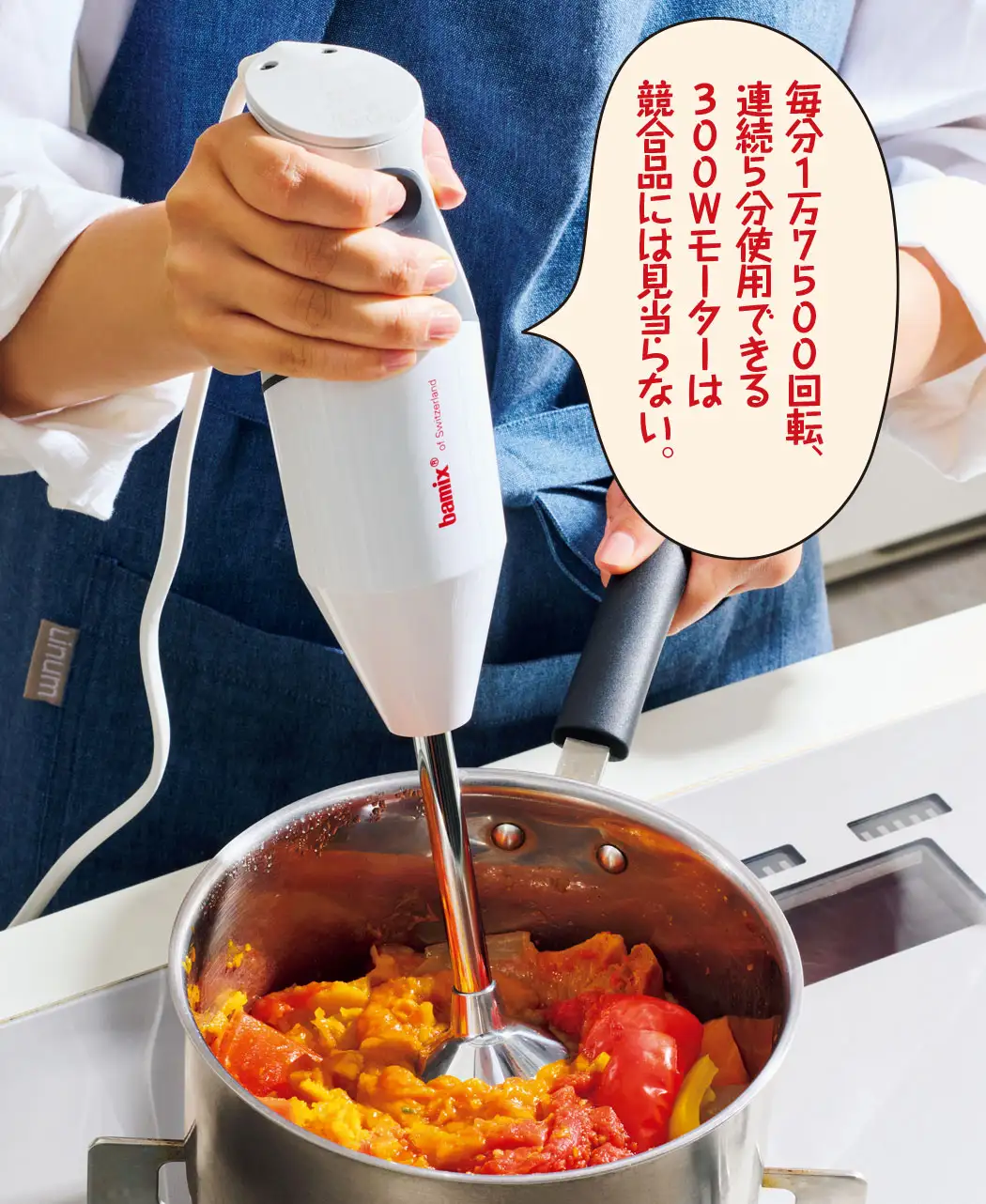 bamix GASTRO 300 バーミックスガストロ 300