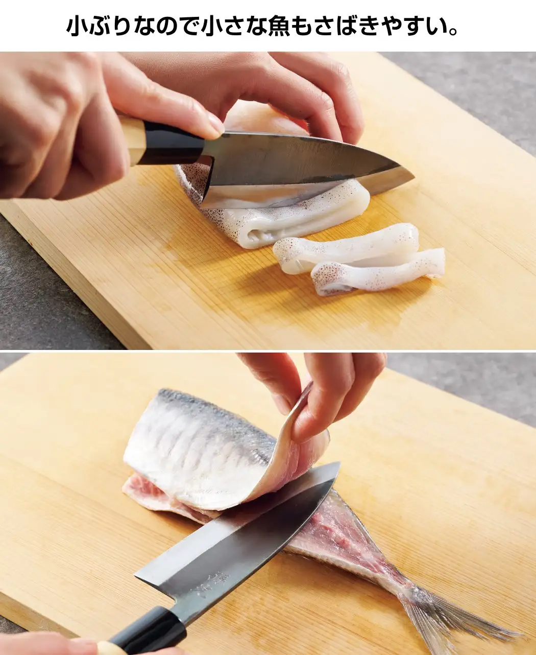 イカ割き包丁0
