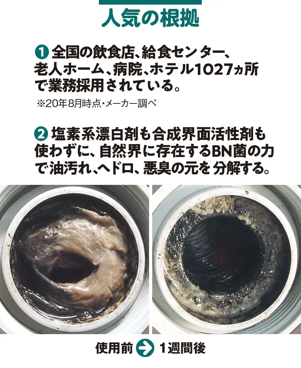 通販生活 bnパイプクリーナー 公式 カタログハウスの通販サイト