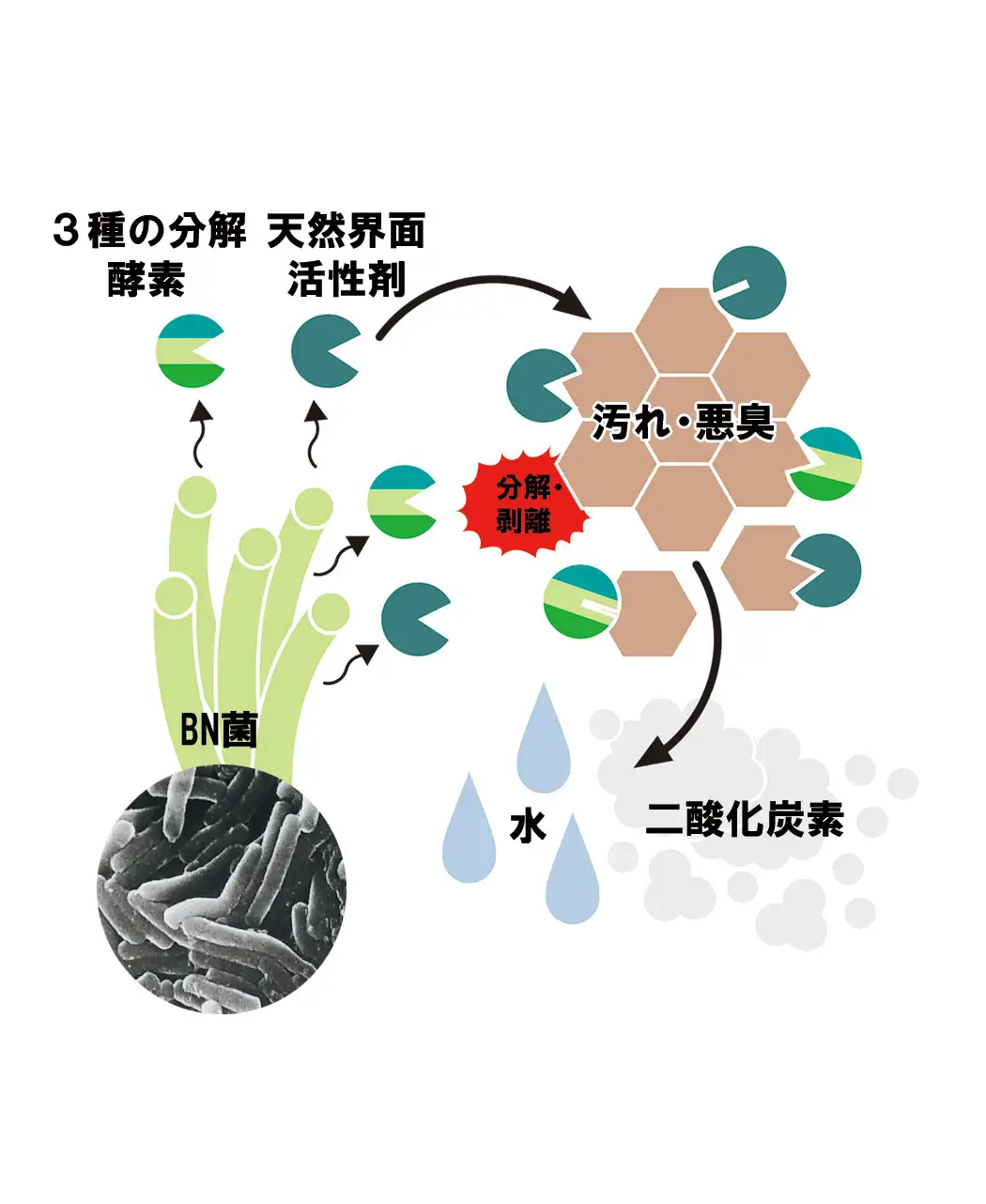 通販生活 bnトイレクリーン 公式 カタログハウスの通販サイト
