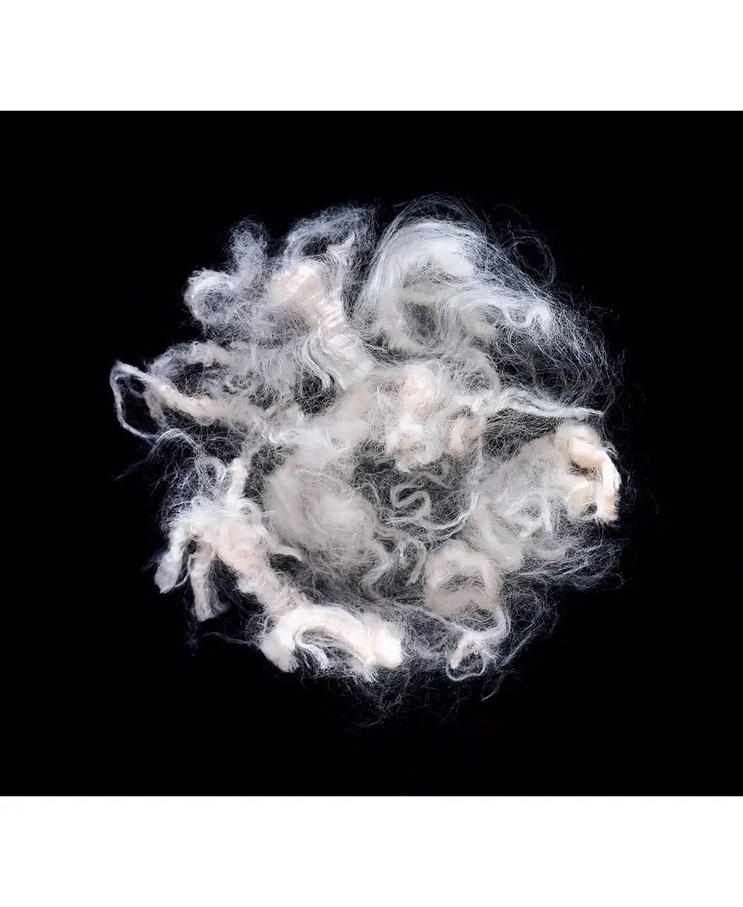 8時だよ 通販生活 軽量除湿パッド 公式 カタログハウスの通販サイト