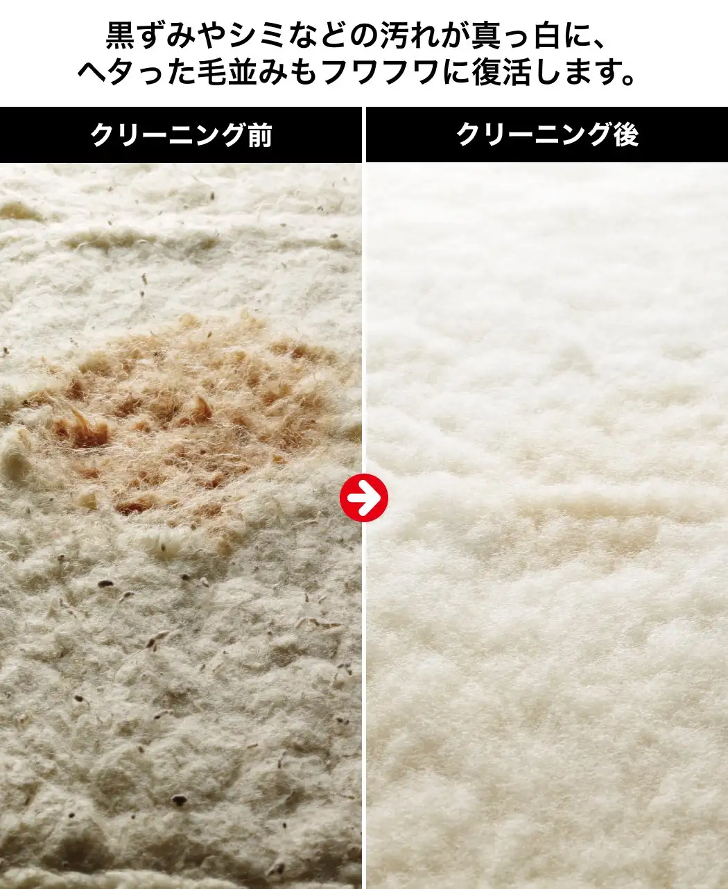 ホワイトクラウドクリーニングサービス0