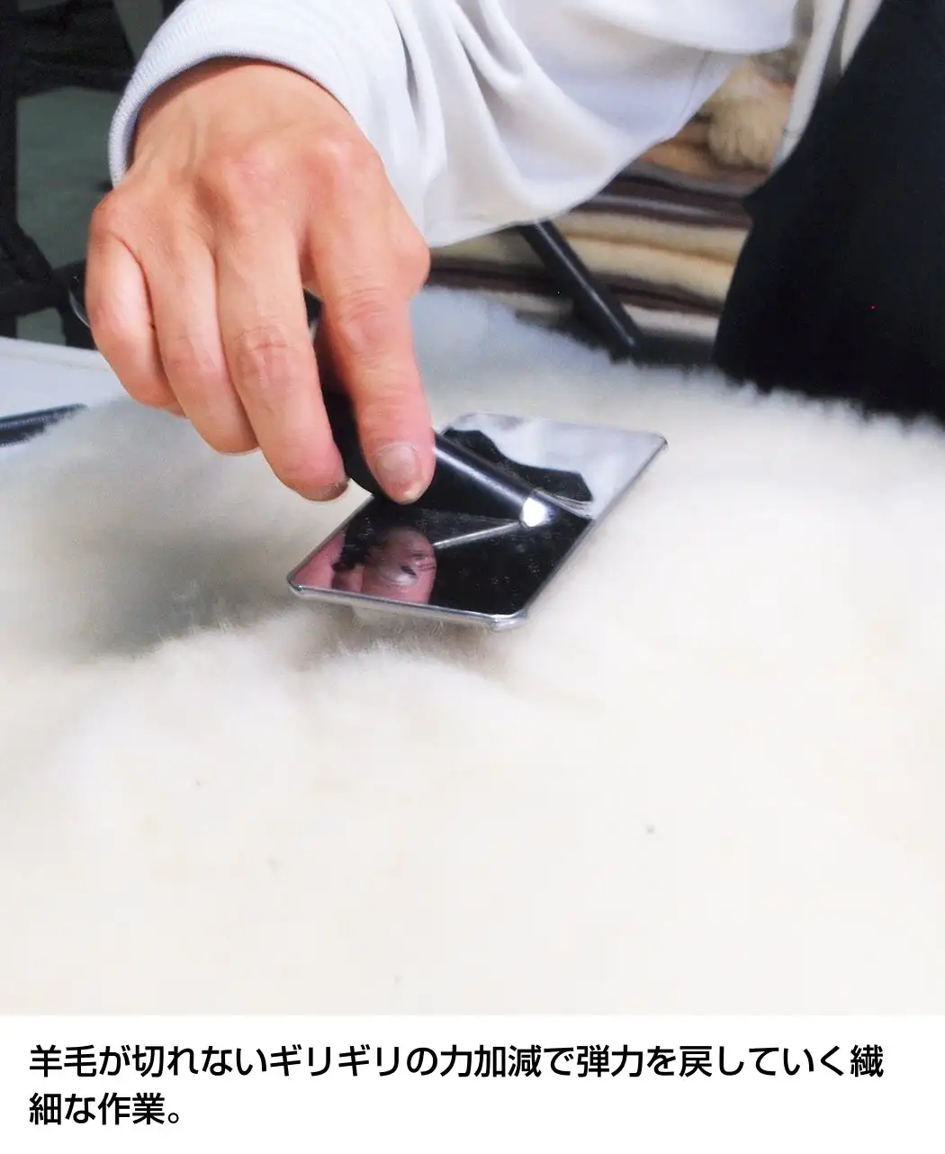 ホワイトクラウドクリーニングサービス2