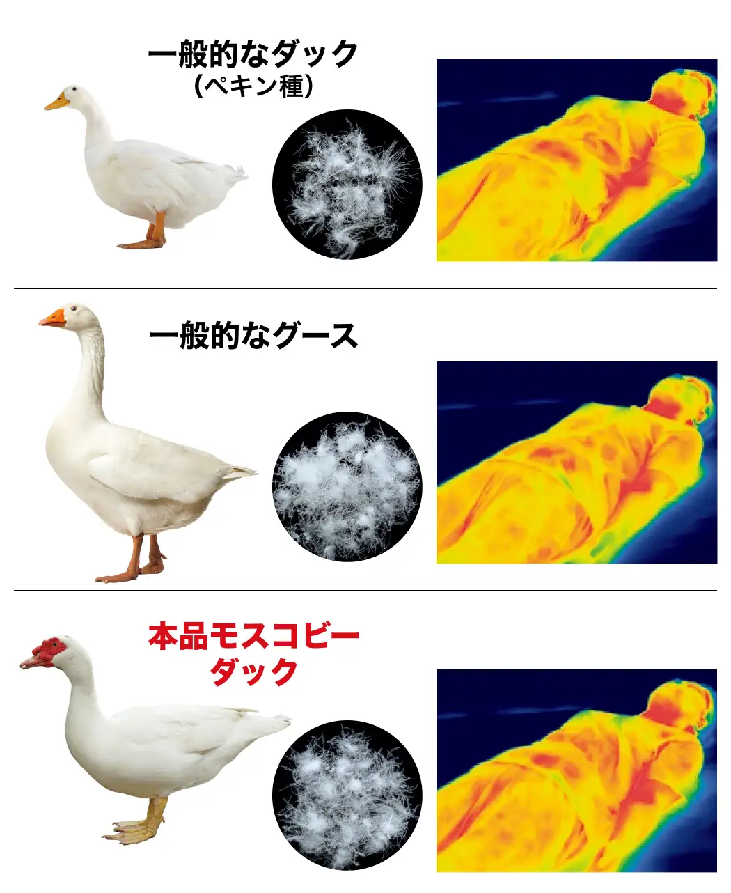 通販生活の2枚合せ羽毛布団 モスコビー1