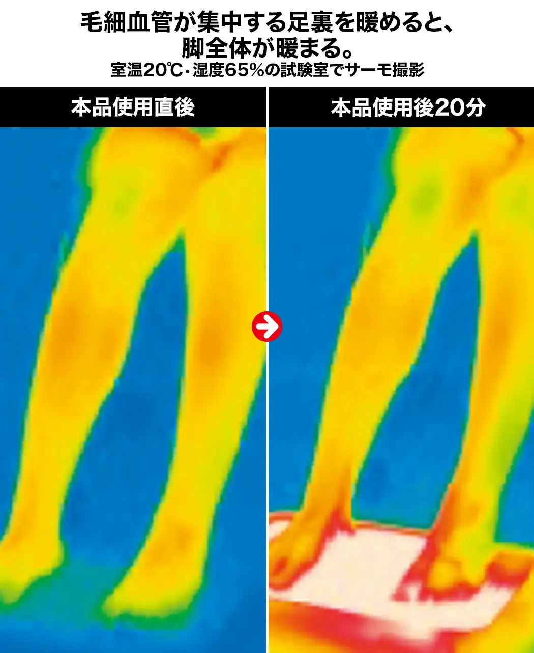 通販生活®足置きこたつ｜【公式】カタログハウスの通販サイト