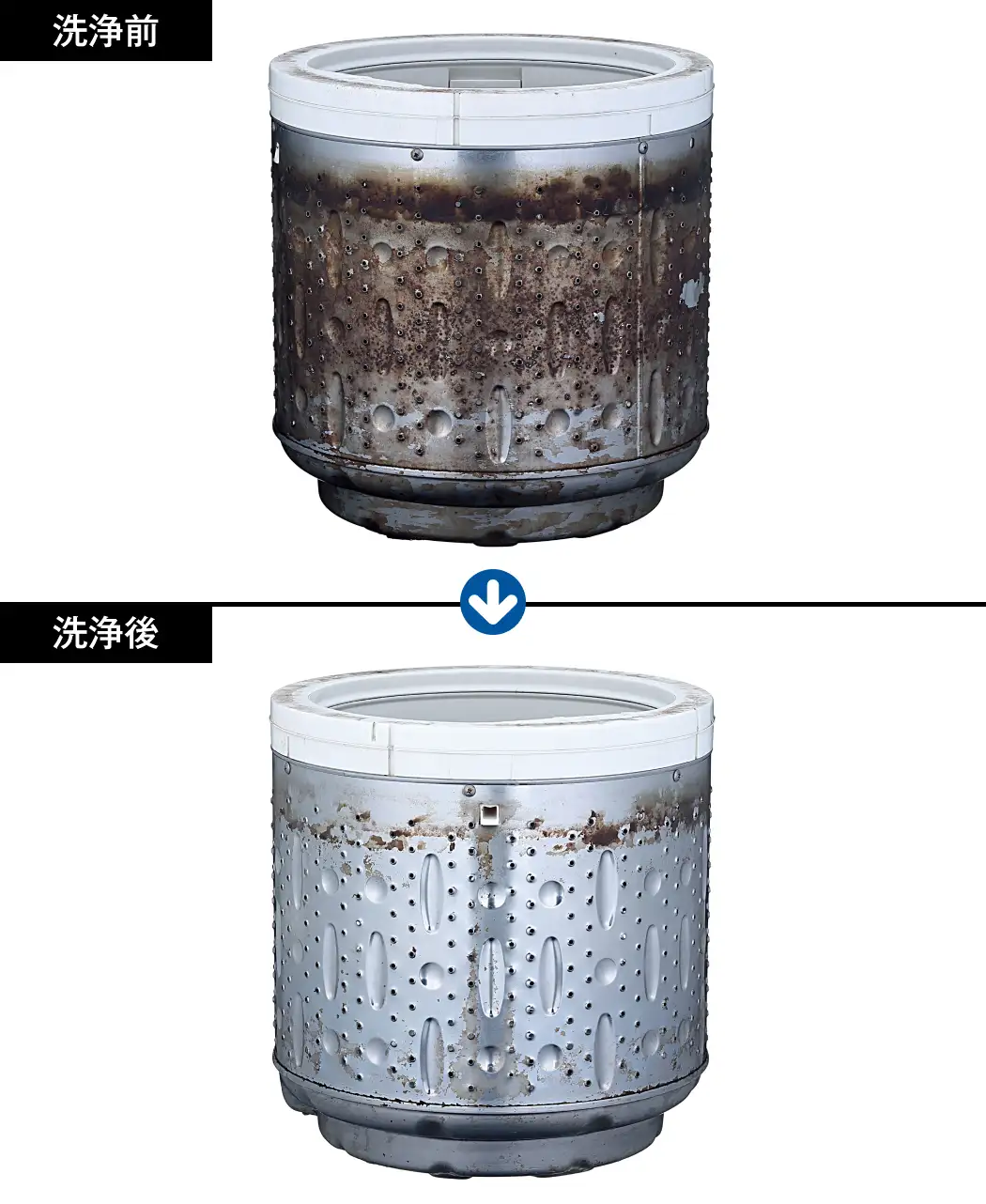 通販生活®洗濯槽クリーナー クイック20(6回分)|【公式】カタログ 通販生活®洗濯槽クリーナー クイック20(6回分)|【公式】カタログ