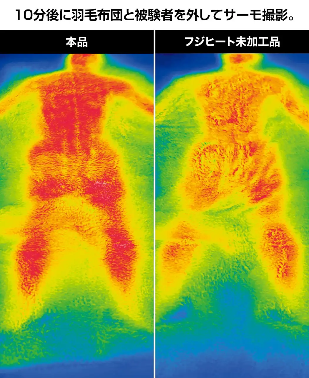 フジヒートのボア敷パッド4