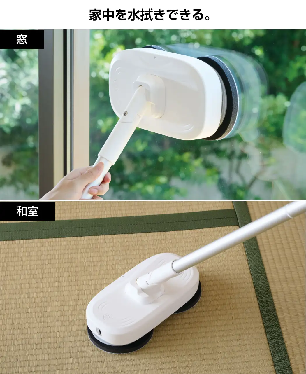 【三毛 ページ】もっとっと 2点 マーモットのもっとっと マーモットがきんようびをお伝えしま