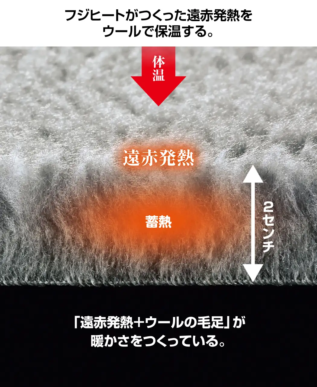 フジヒート発熱ボアソファラグ3