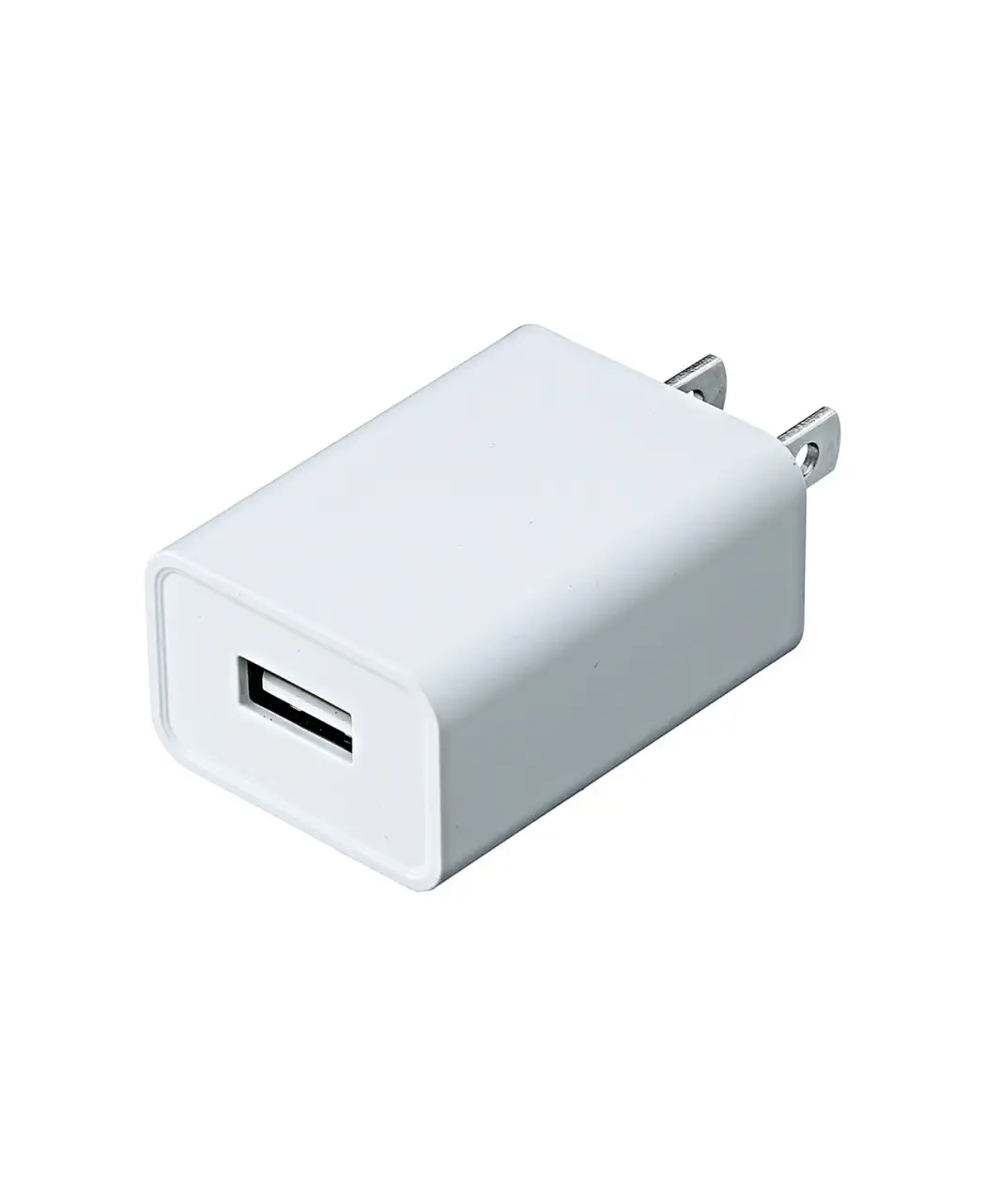 ダブルポリッシャーACアダプター0