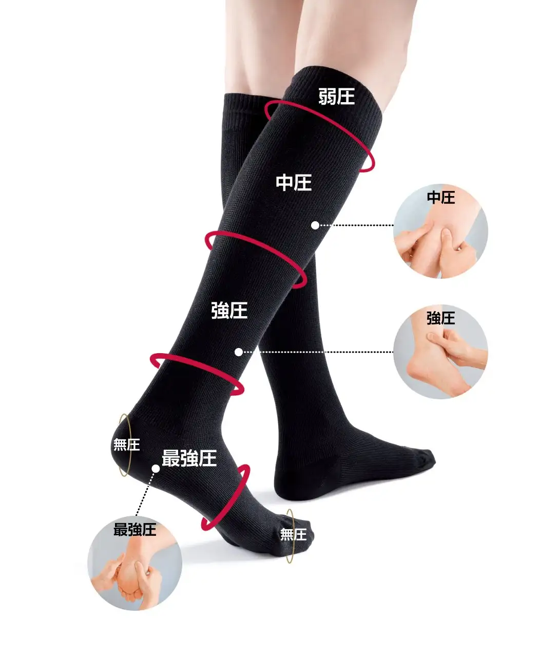 gilofa　スタンダードソックス　M　2足セット ドイツ製 ギロファ スタンダードソックス | G-Callショッピング