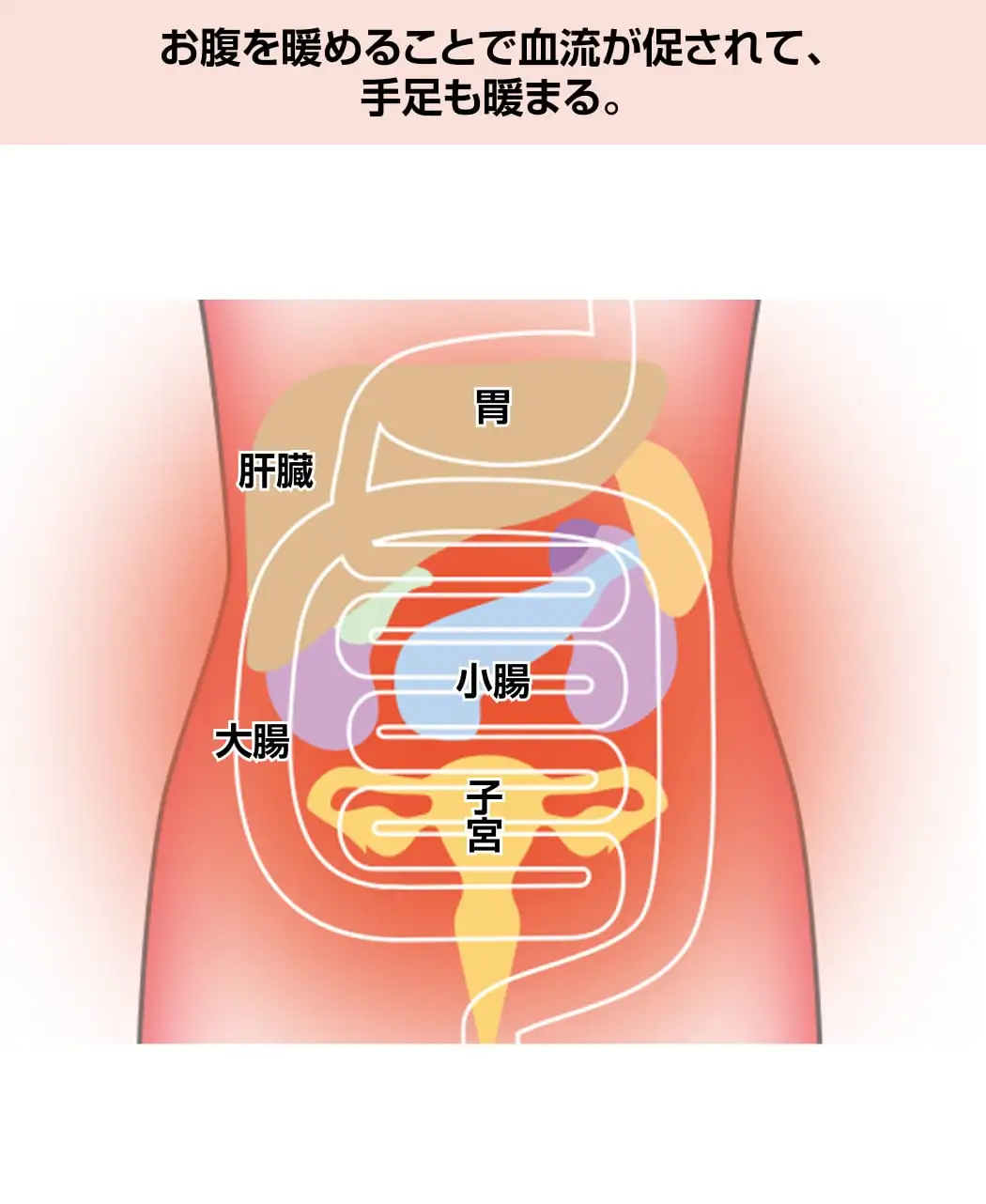 フジヒートの腹巻1