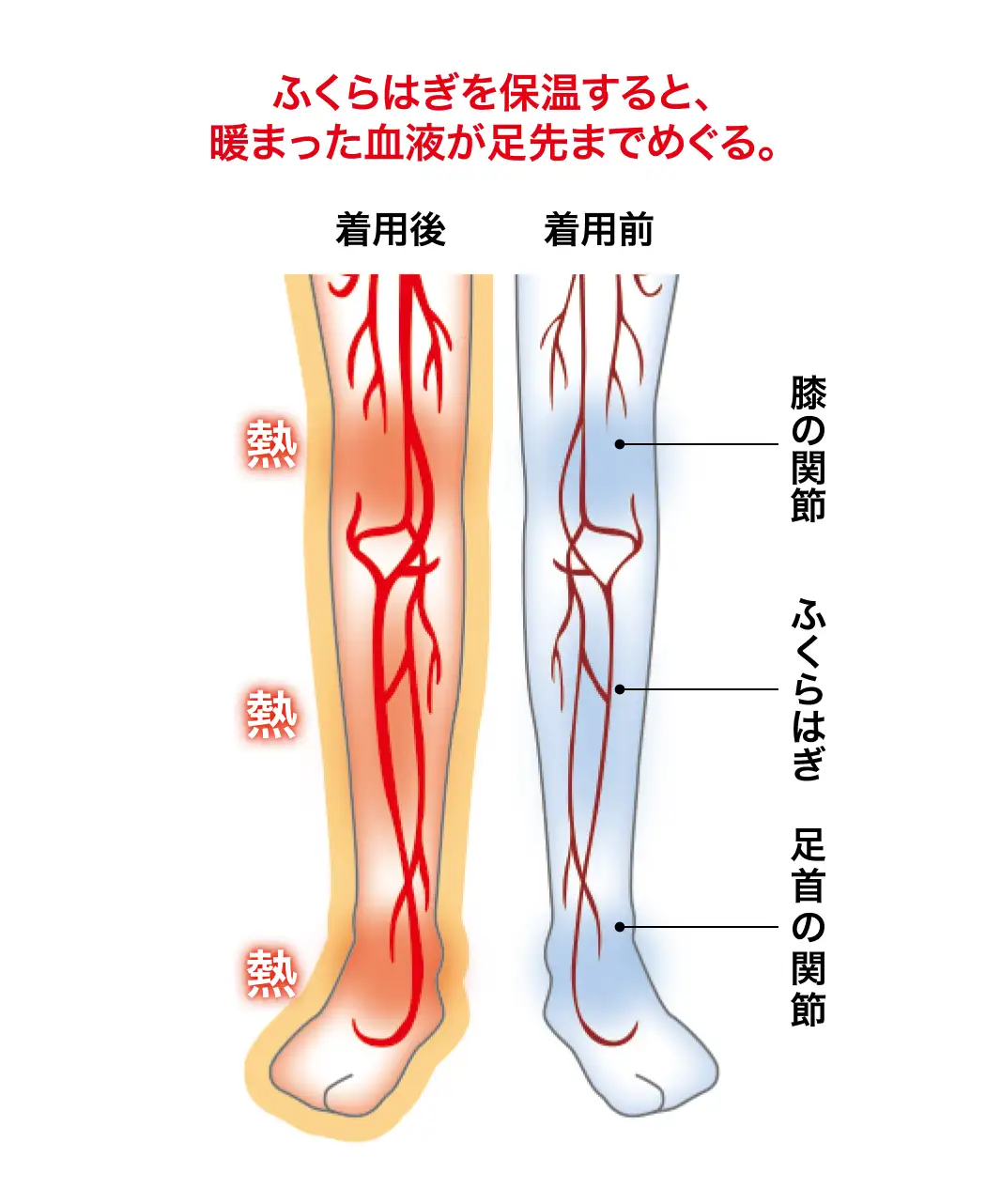 通販生活®フジヒートレッグウォーマー薄地｜【公式】カタログハウスの