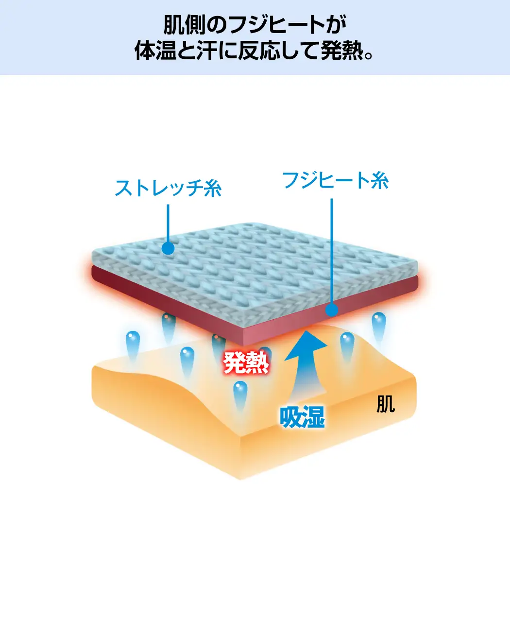 通販生活®フジヒートのレッグウォーマー薄地｜【公式】カタログハウス