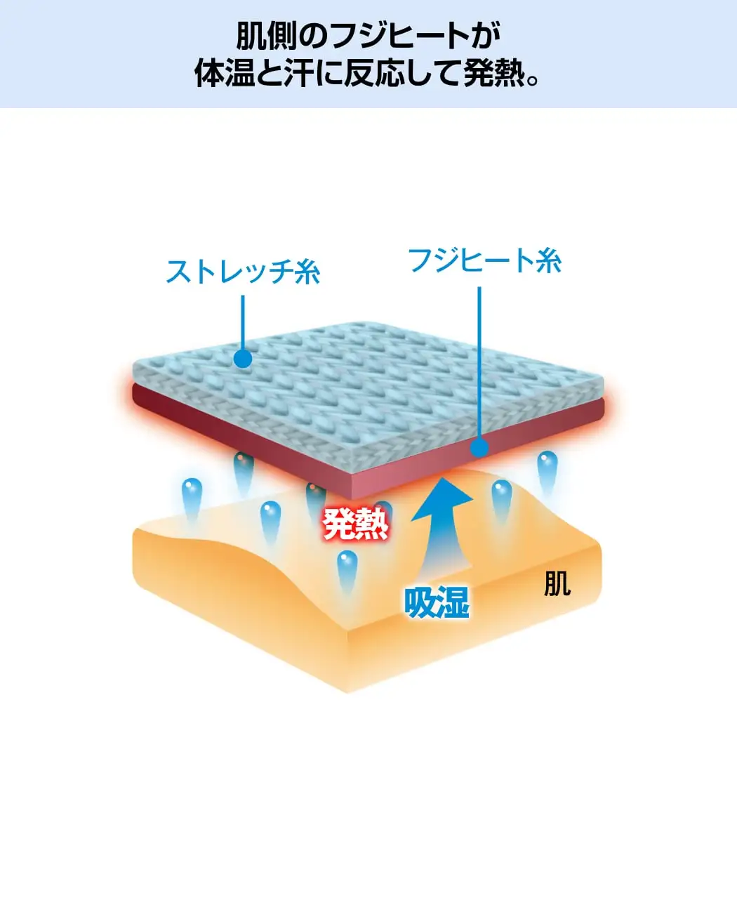フジヒートのレッグウォーマー薄地4