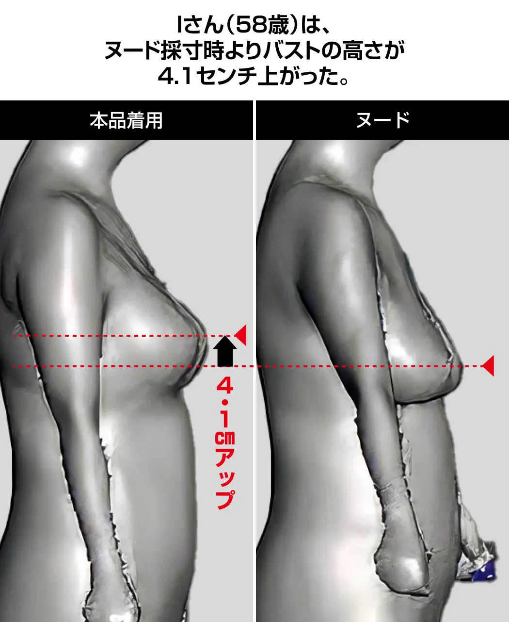 体型分析ブラ2