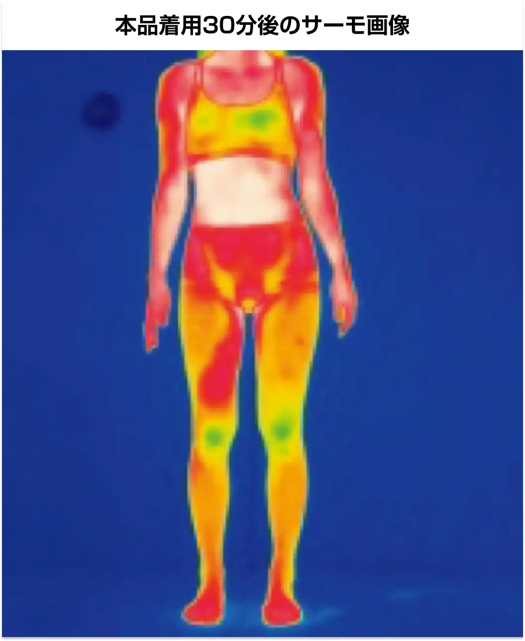 通販生活®通販生活のフジヒート 標準シャツ・ロングパンツ（女性用