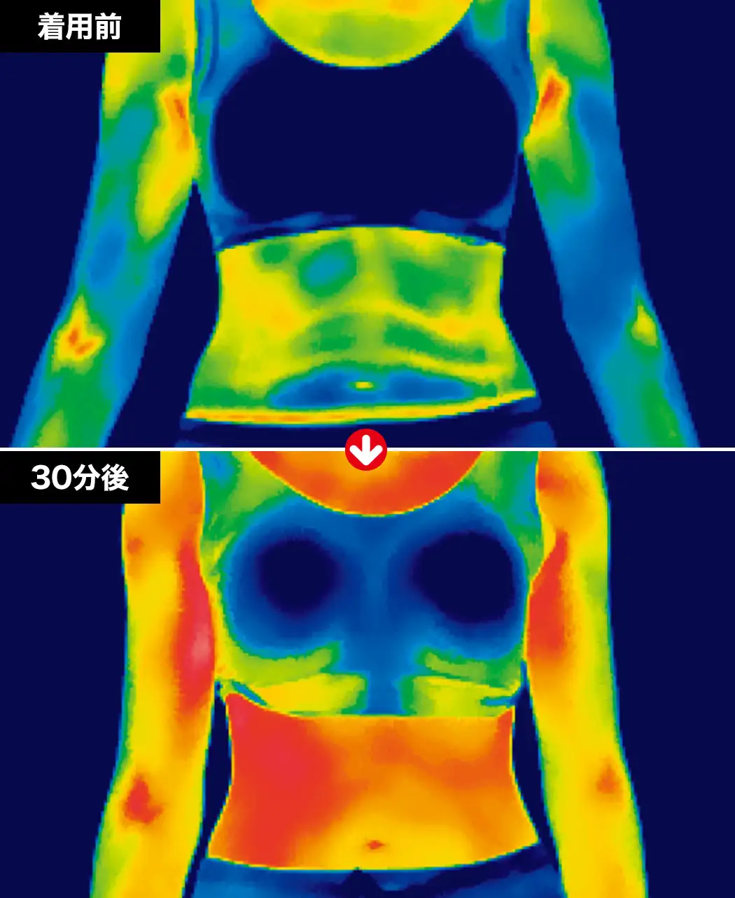 通販生活®フジヒートの薄手シャツ（女性用・男性用）｜【公式