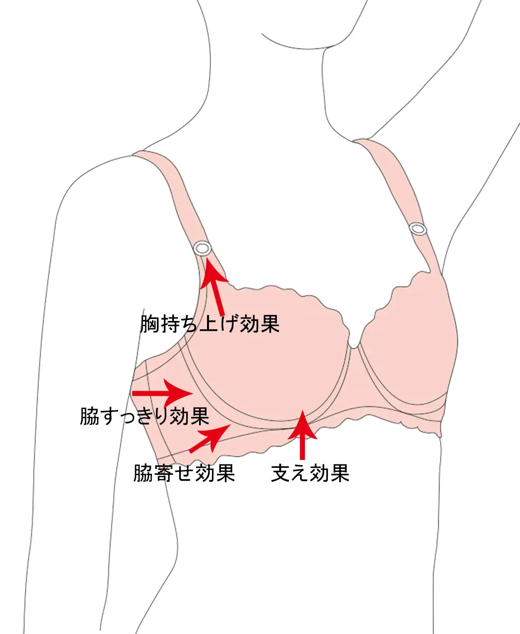 8時だよ 通販生活 体型分析ブラ 公式 カタログハウスの通販サイト