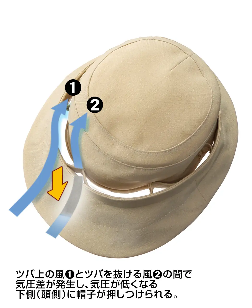 通販生活 ベルヌーイの帽子 公式 カタログハウスの通販サイト 通販生活 ベルヌーイの帽子 公式 カタログハウスの通販サイト