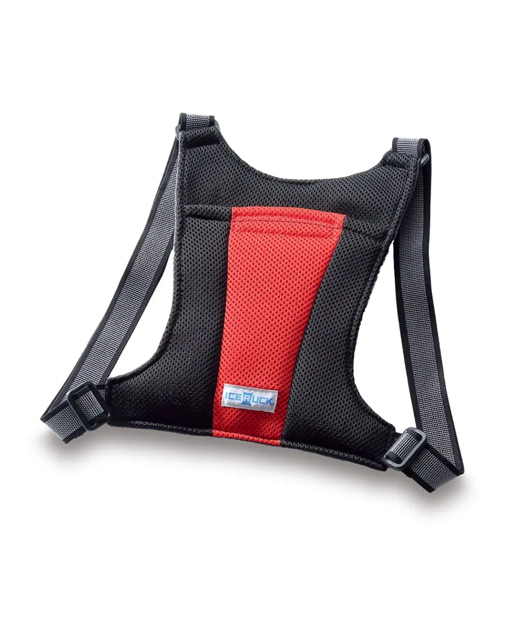 アイスリュック1