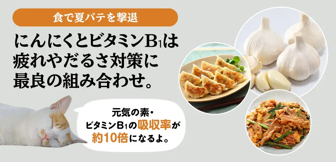 食で夏バテを撃退 にんにくとビタミンB₁は疲れやだるさ対策に最良の組み合わせ。元気の素・ビタミンB₁の吸収率が約10倍になるよ。