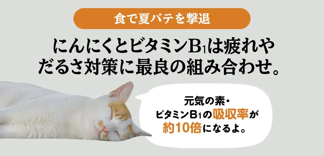 食で夏バテを撃退 にんにくとビタミンB₁は疲れやだるさ対策に最良の組み合わせ。元気の素・ビタミンB₁の吸収率が約10倍になるよ。