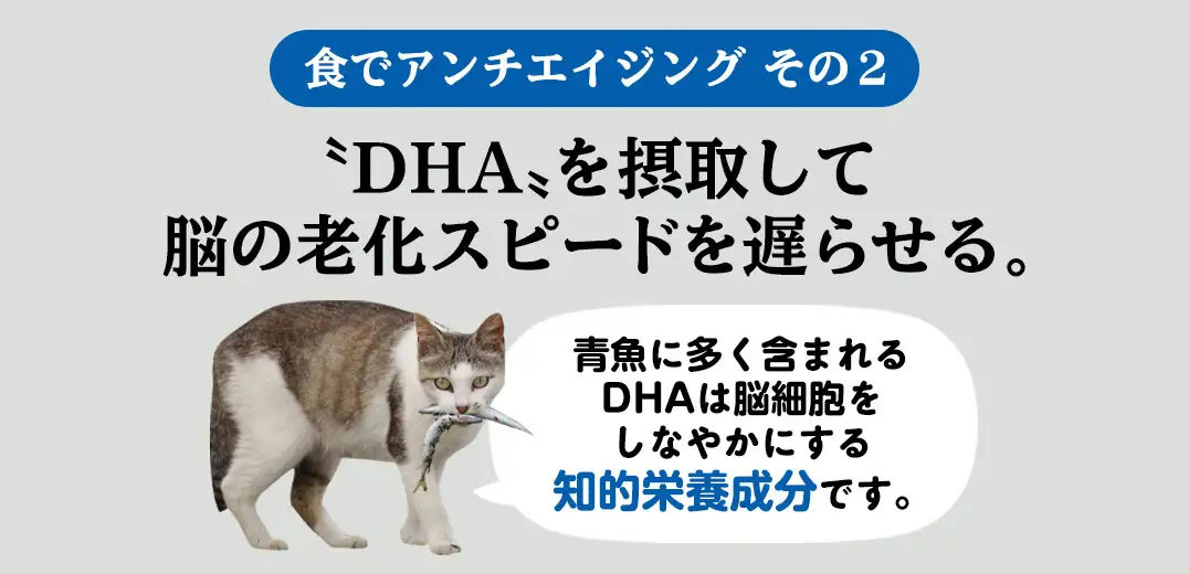 “DHA”を摂取して脳の老化スピードを遅らせる。青魚に多く含まれるDHAは脳細胞をしなやかにする知的栄養成分です。