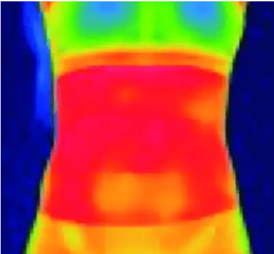 フジヒートの腹巻着用30分後のサーモ画像