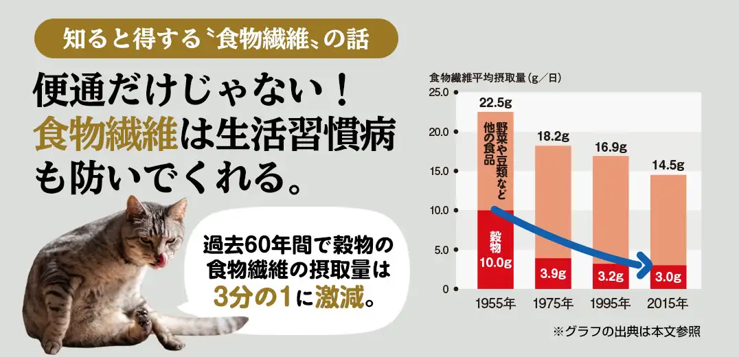 知ると得する〝食物繊維〟の話 便通だけじゃない！食物繊維は生活習慣病も防いでくれる。