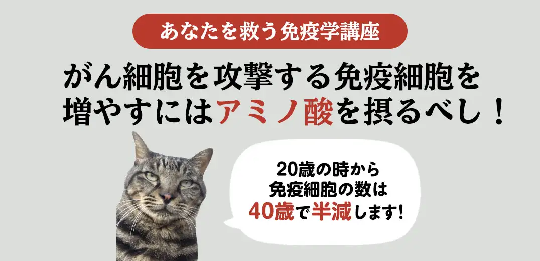 あなたを救う免疫学講座 がん細胞を攻撃する免疫細胞を増やすにはアミノ酸を摂るべし！