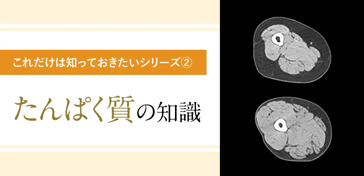 これだけは知っておきたいたんぱく質の知識
