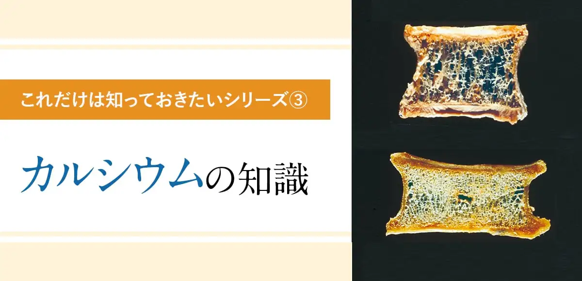 これだけは知っておきたいカルシウムの知識