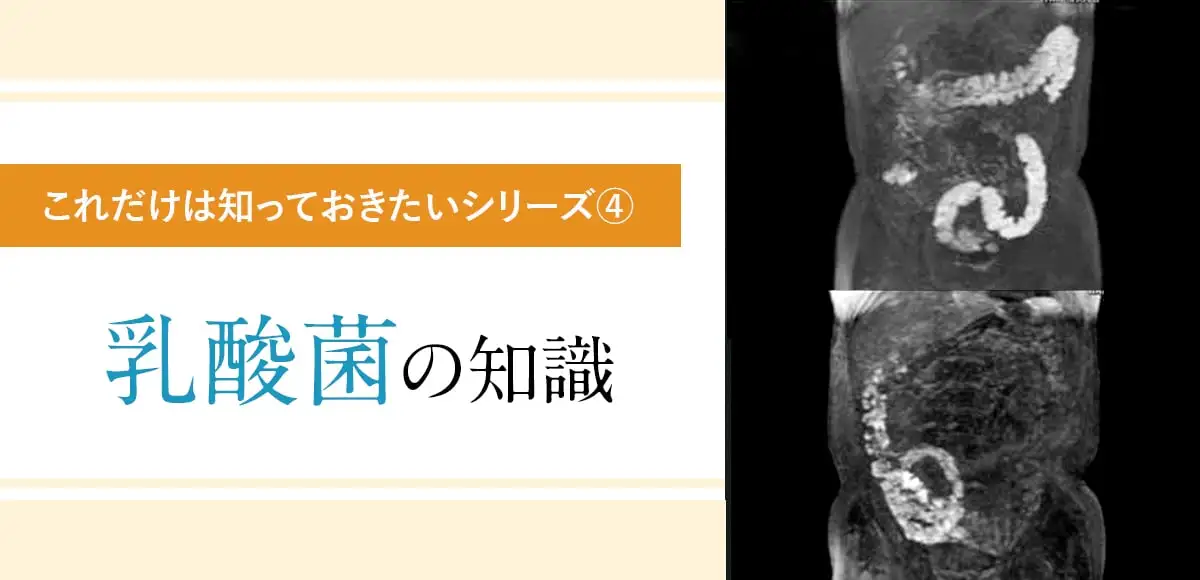 これだけは知っておきたい乳酸菌の知識