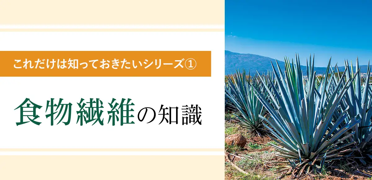 これだけは知っておきたい食物繊維の知識